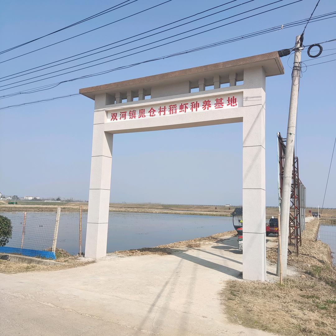美丽晁仓