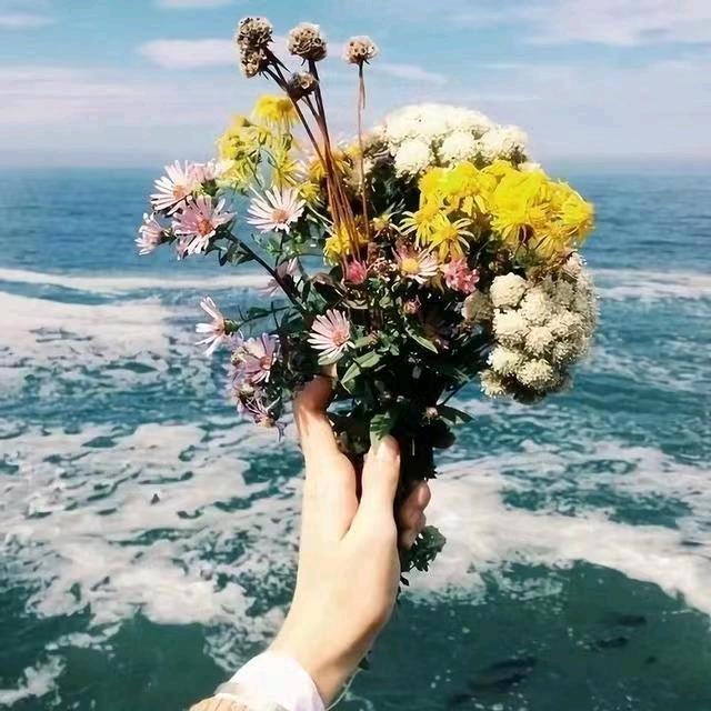 静花怡月