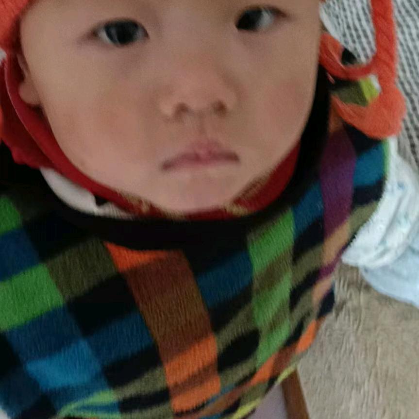 笨笨蛇🐍