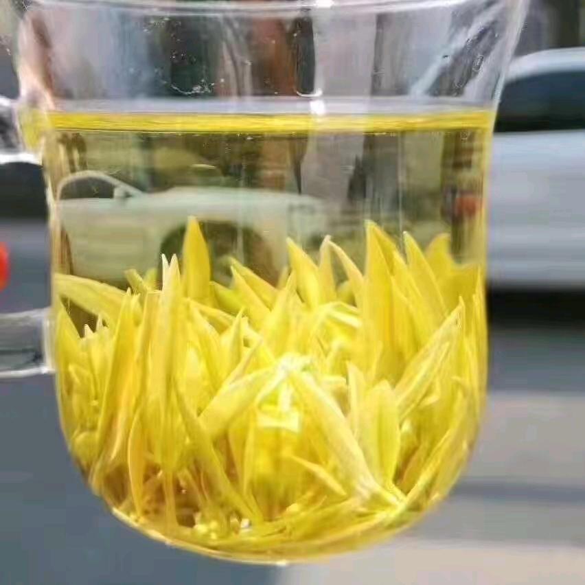 慕名茶行