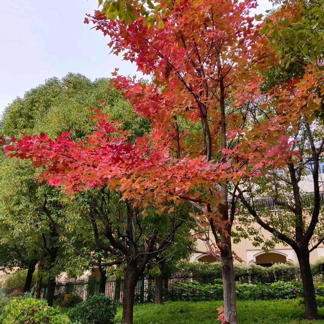 开心一刻
