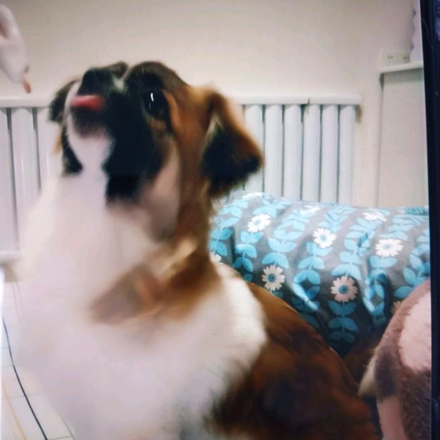 我和我的宝贝们