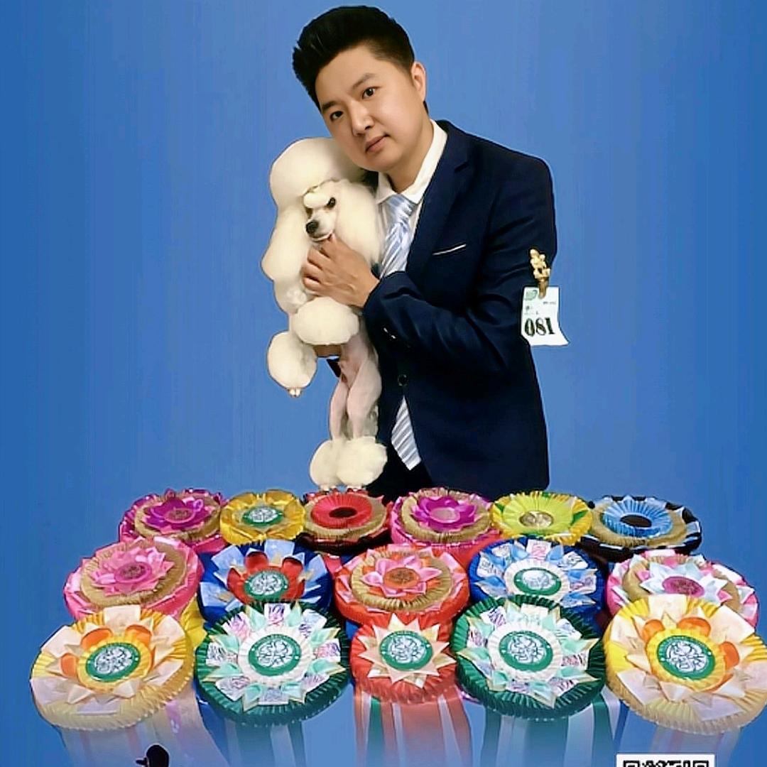 狼嚎玩具贵宾犬舍