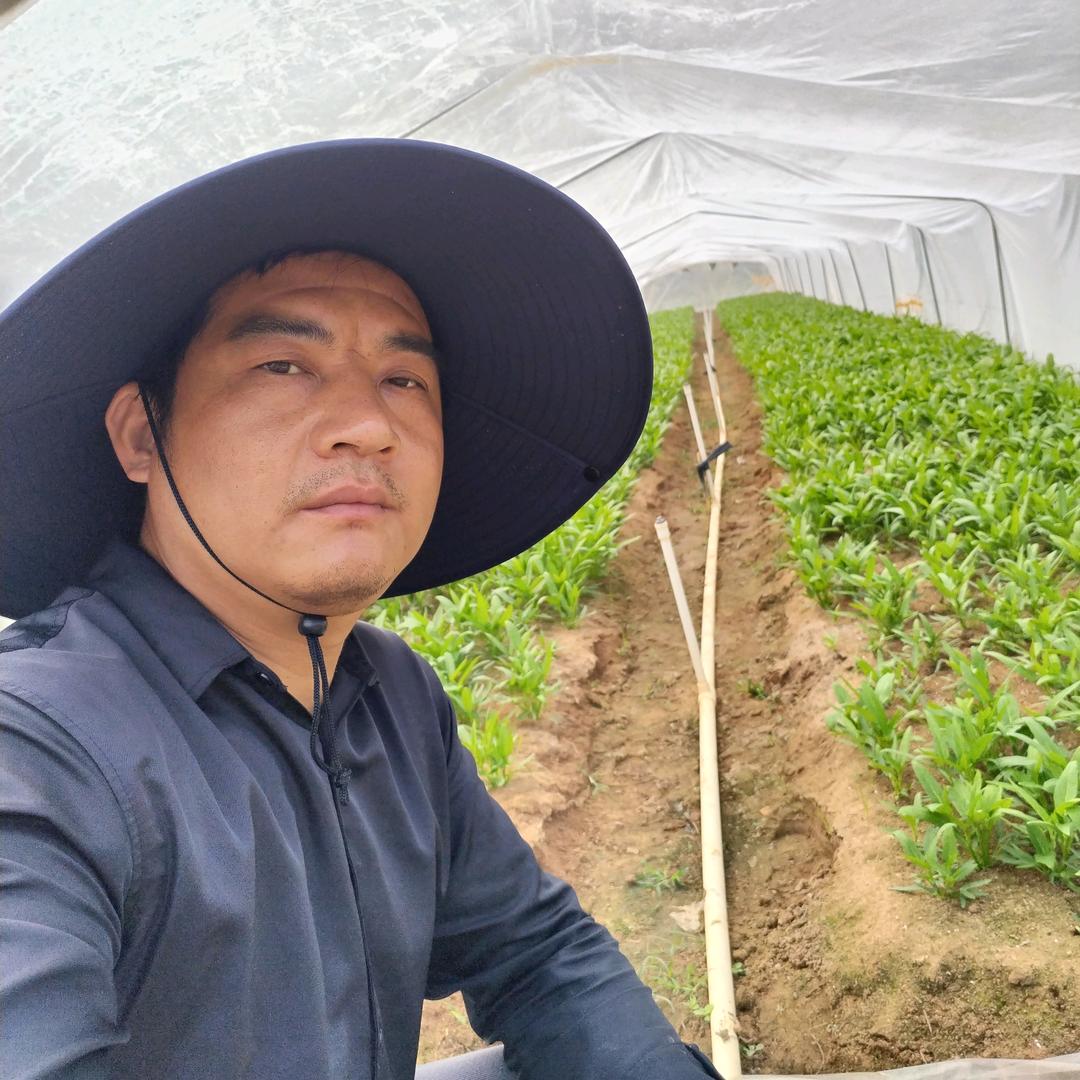 老高种菜