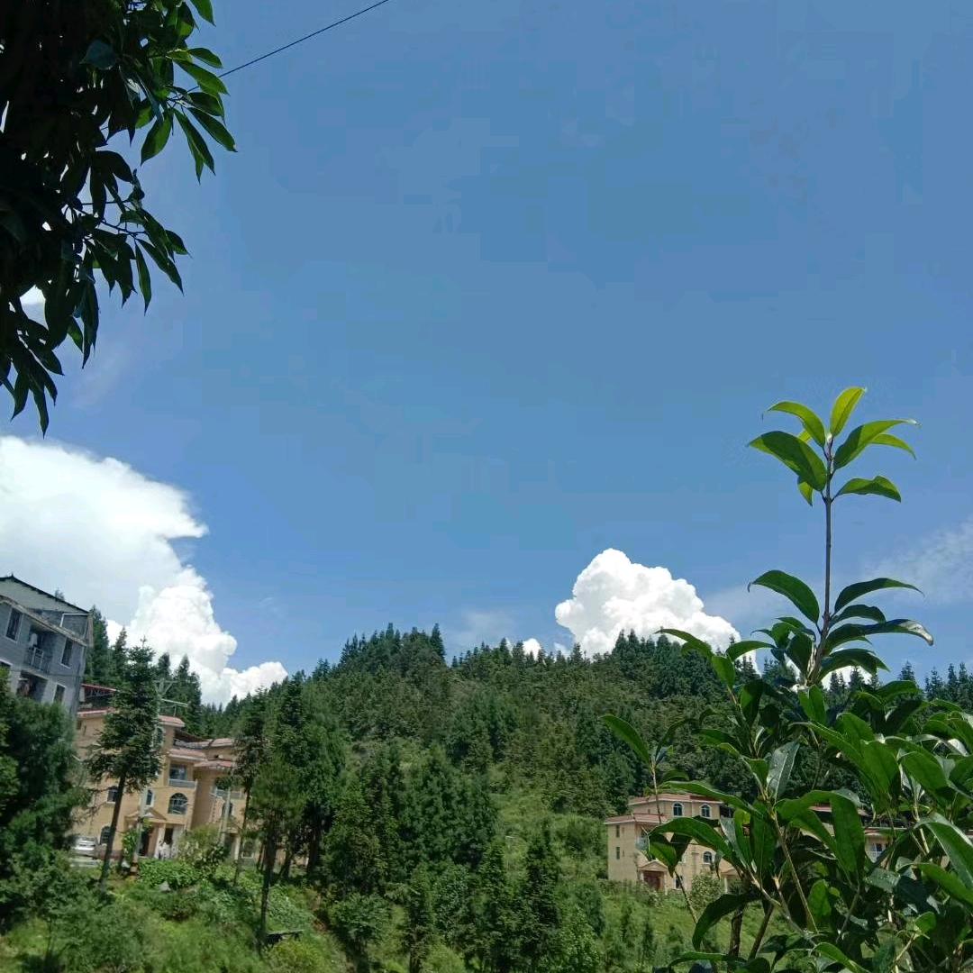 溪水如蜜