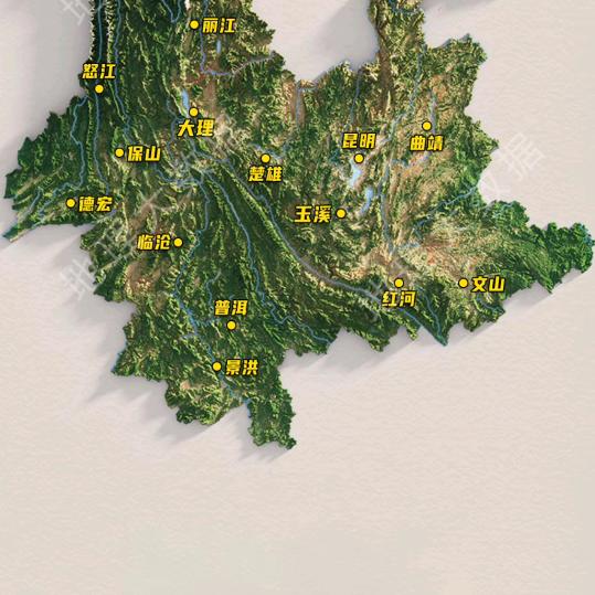 大橡伐材