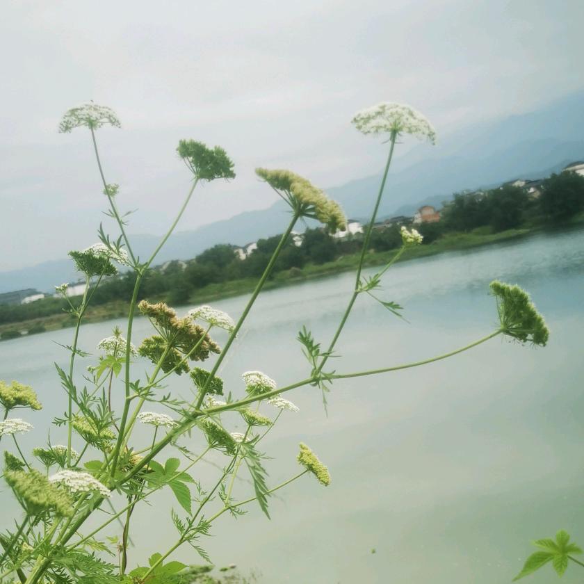 小眼也温柔