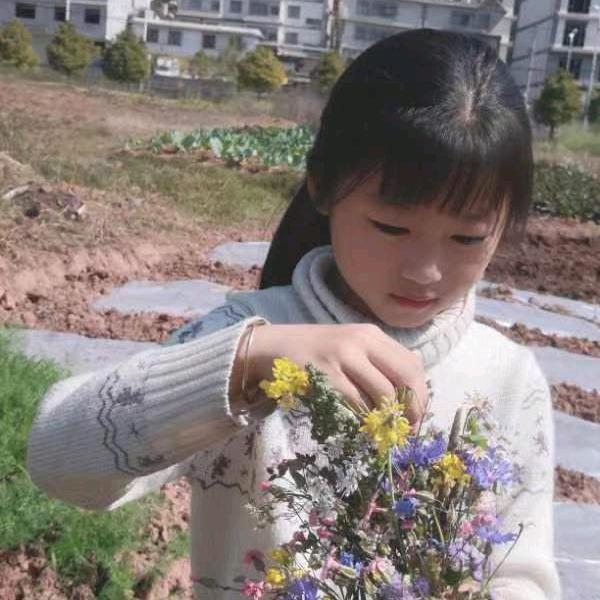 珍珍