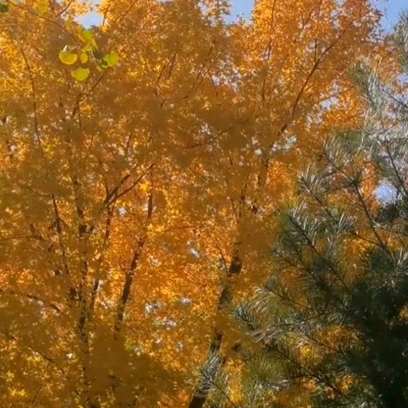 惠翔优选(好物分享)