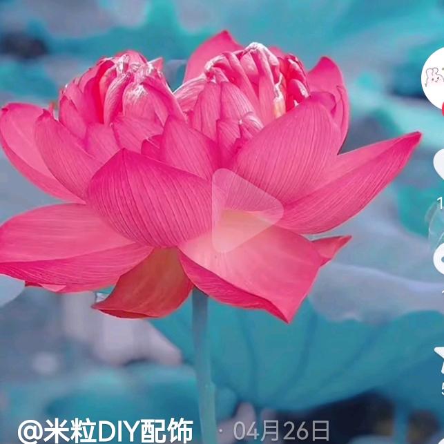 一身健康并是福！