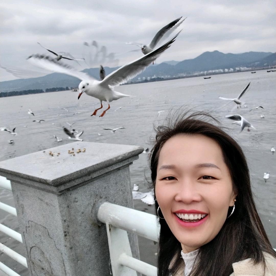 🌴🌴秋风落叶🍂🍁🍂🍂