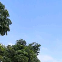 真爱永恒😎😎