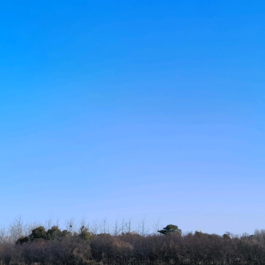 ⭐财神爷的小心肝🌙