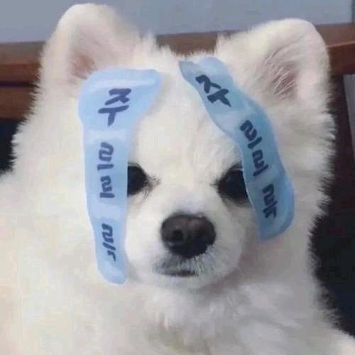 冰鲨