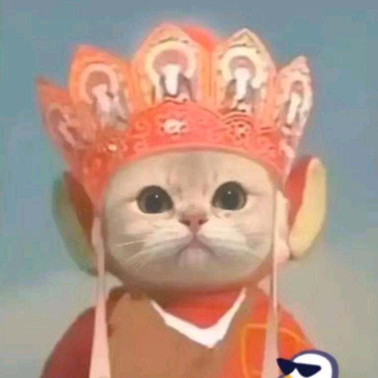 江湖最终一个菜鸟（禁止连赞🚫🚫🚫）