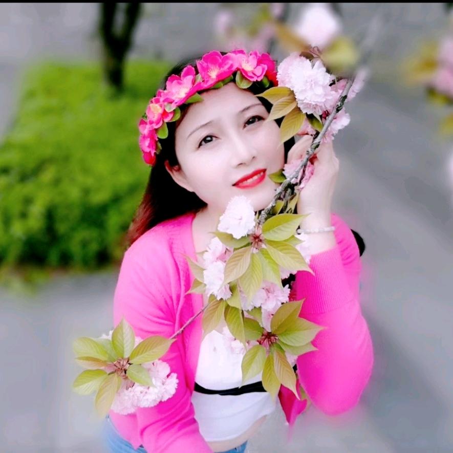 花飘零