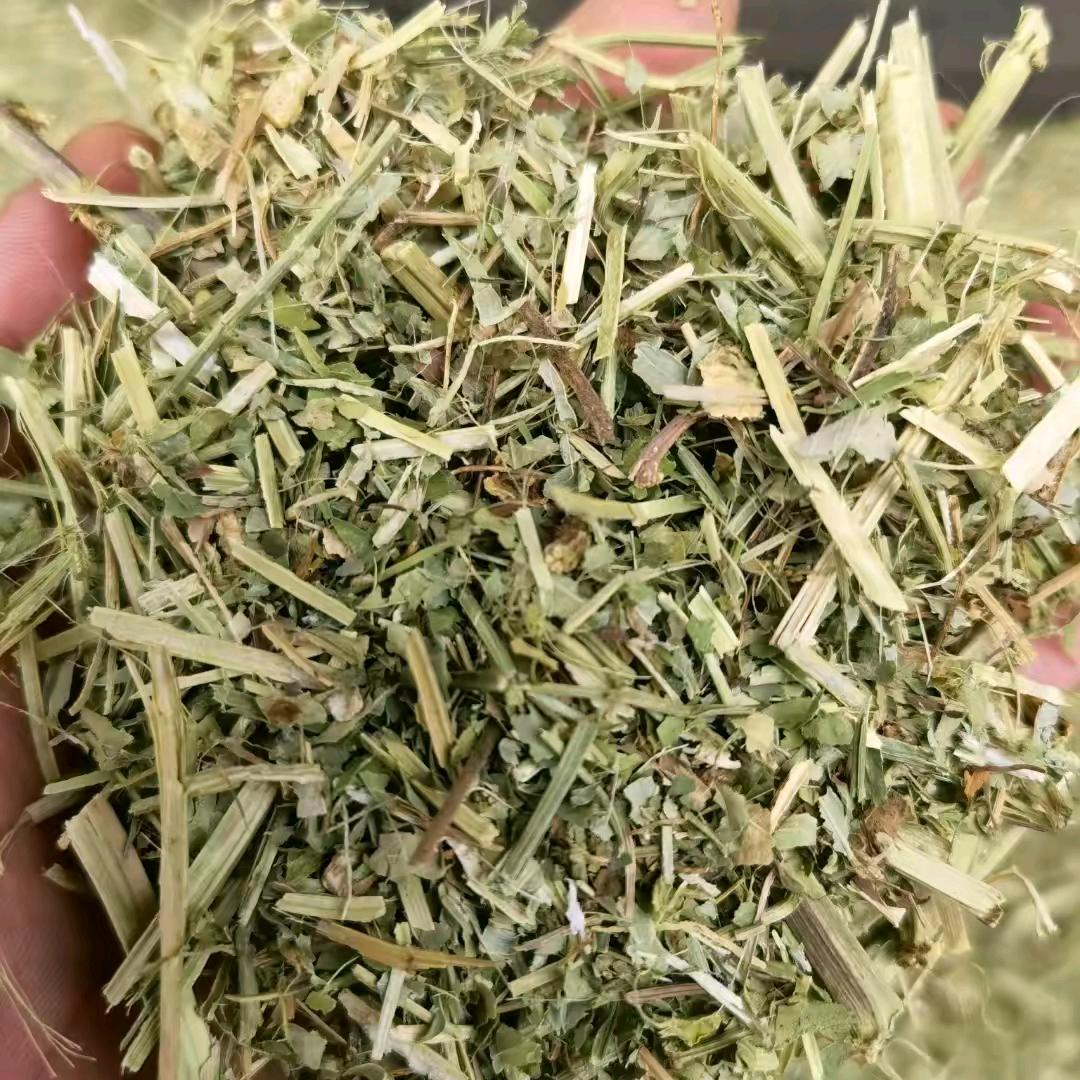 河南《永恒草业》