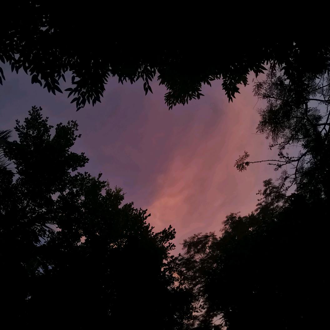 今天又又又暴富了（做梦版）