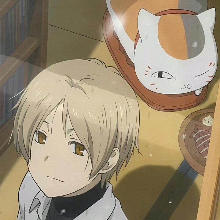 凌晨两点半的猫