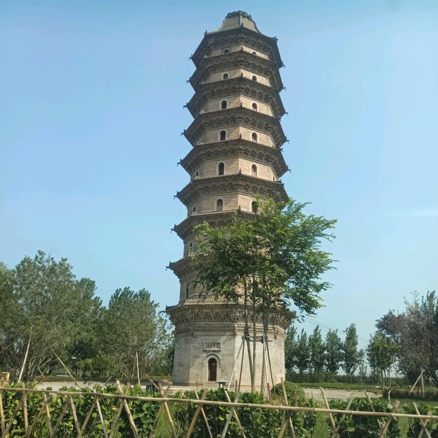 与风同行