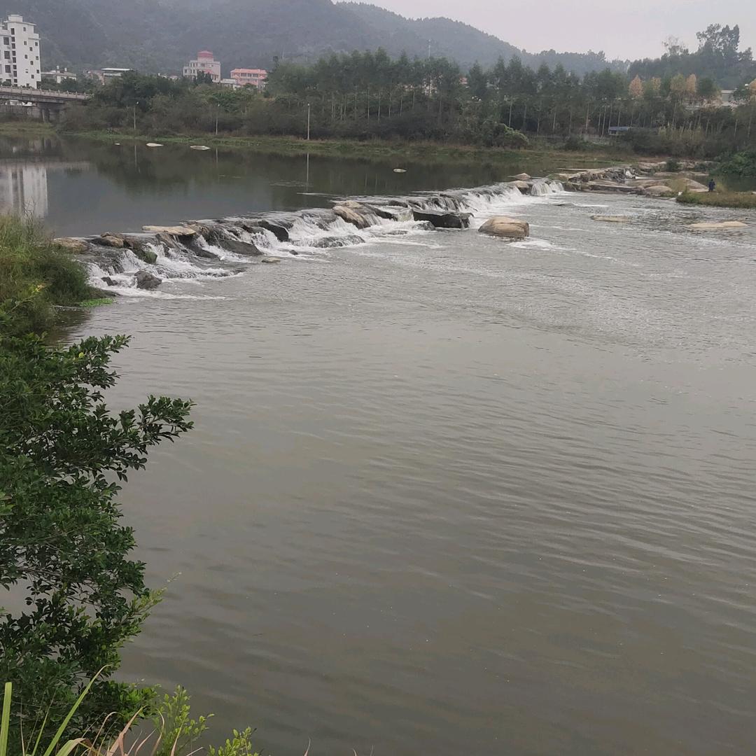 杨来乐