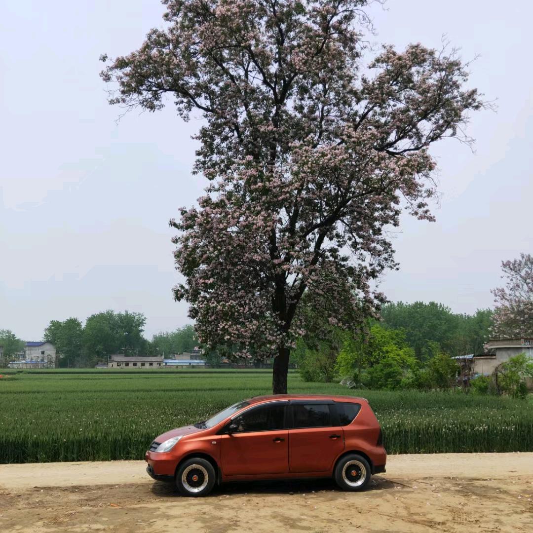 种草莓🍓的小王