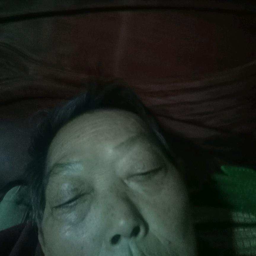 陆久芬