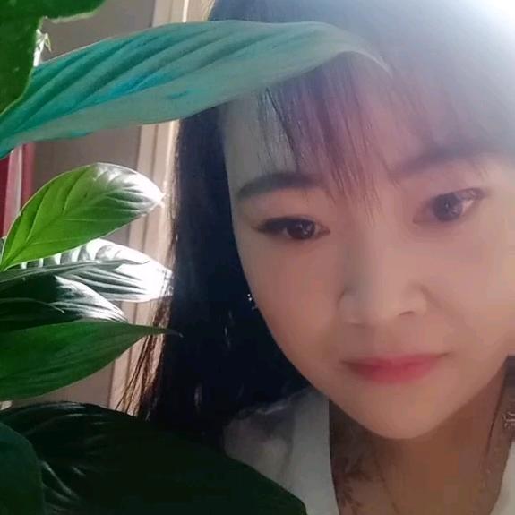竹编小妹