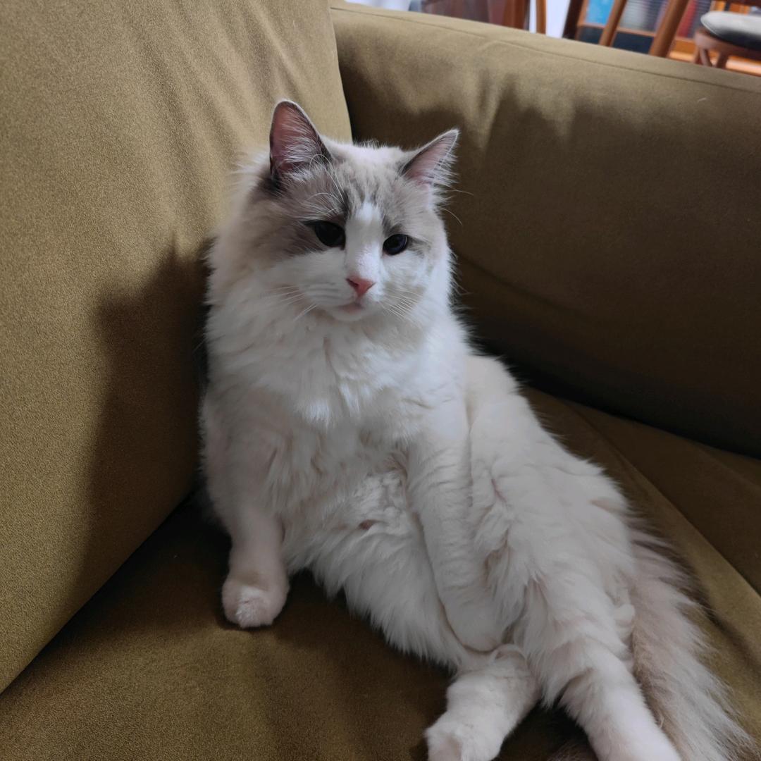 🌈🌻缘来是倪🍅🍅