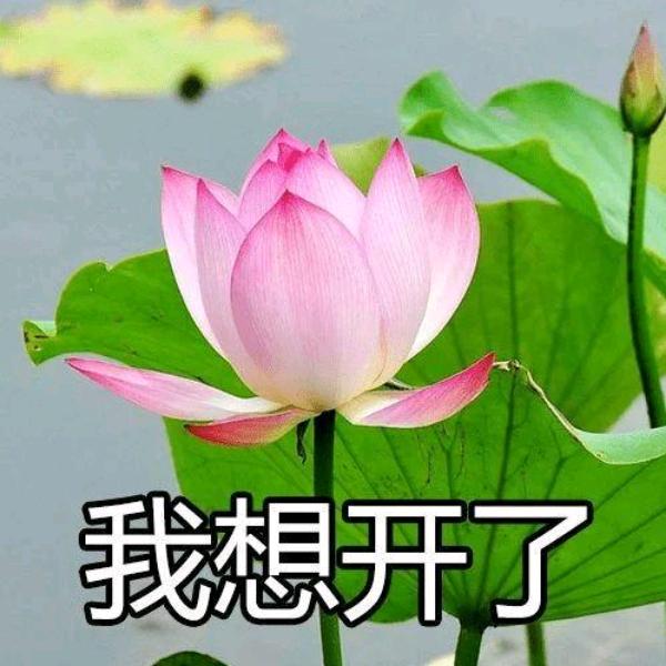 💋᭄笑ོ着ꦿ᪲退ོ场ꦿ࿚🕊