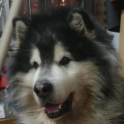 ✨雲淡風飄✨⁰⁹²⁷