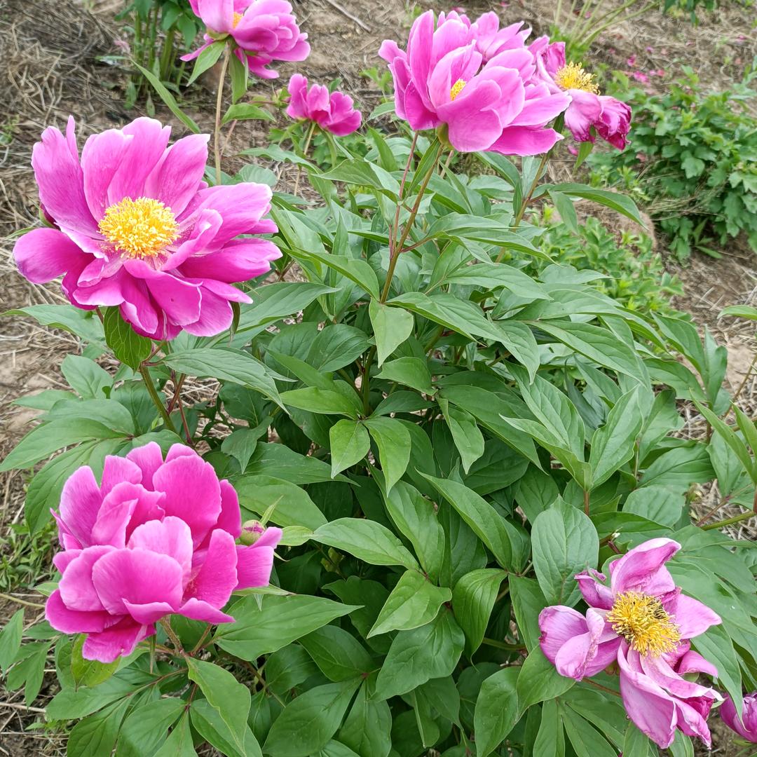 A  志节昆吾超市