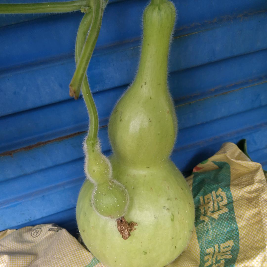 张姐