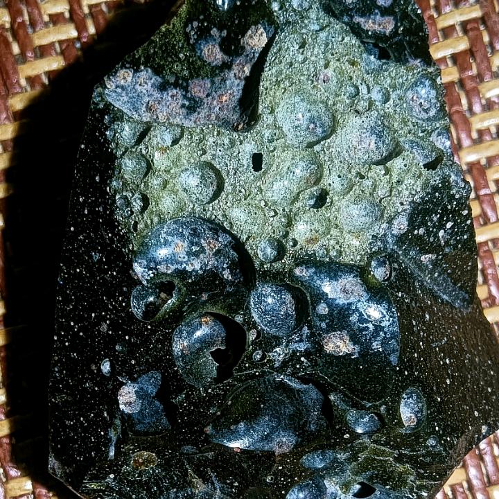 种子