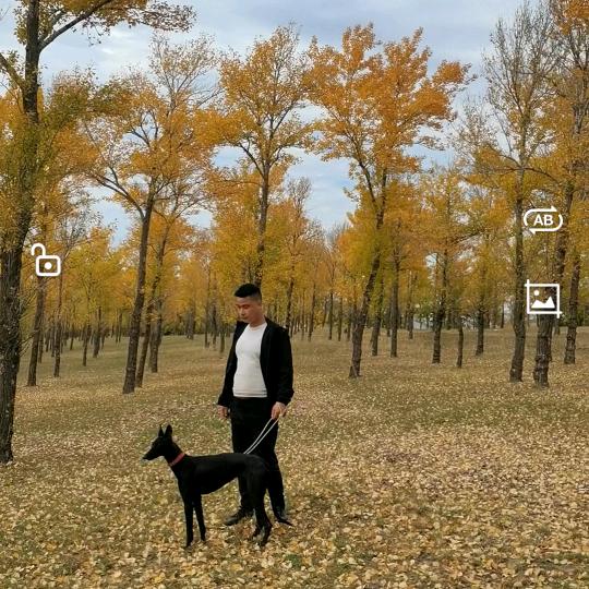 基情总在后半夜