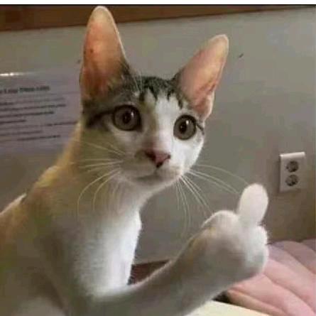 卡豆桥