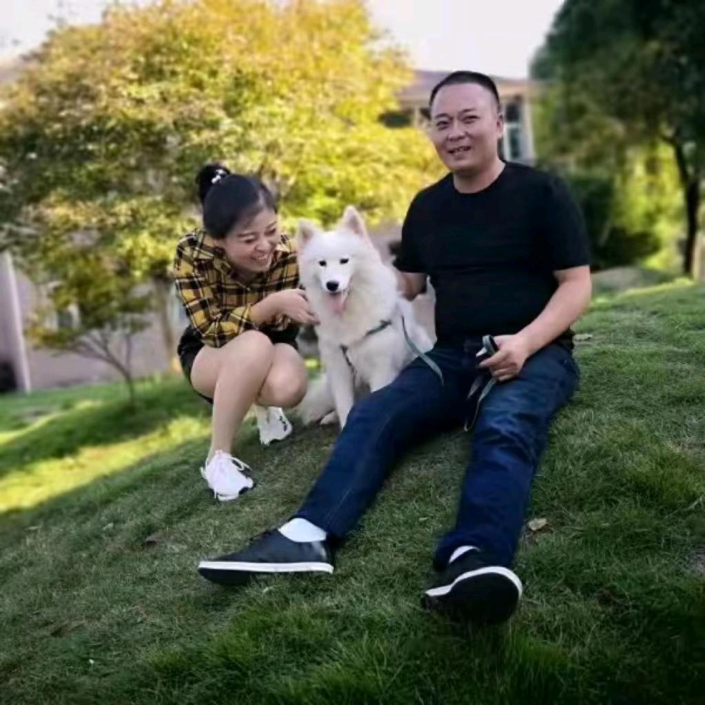 军