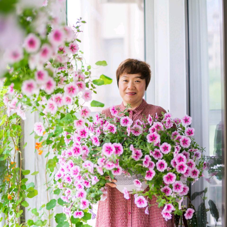 明云的花园