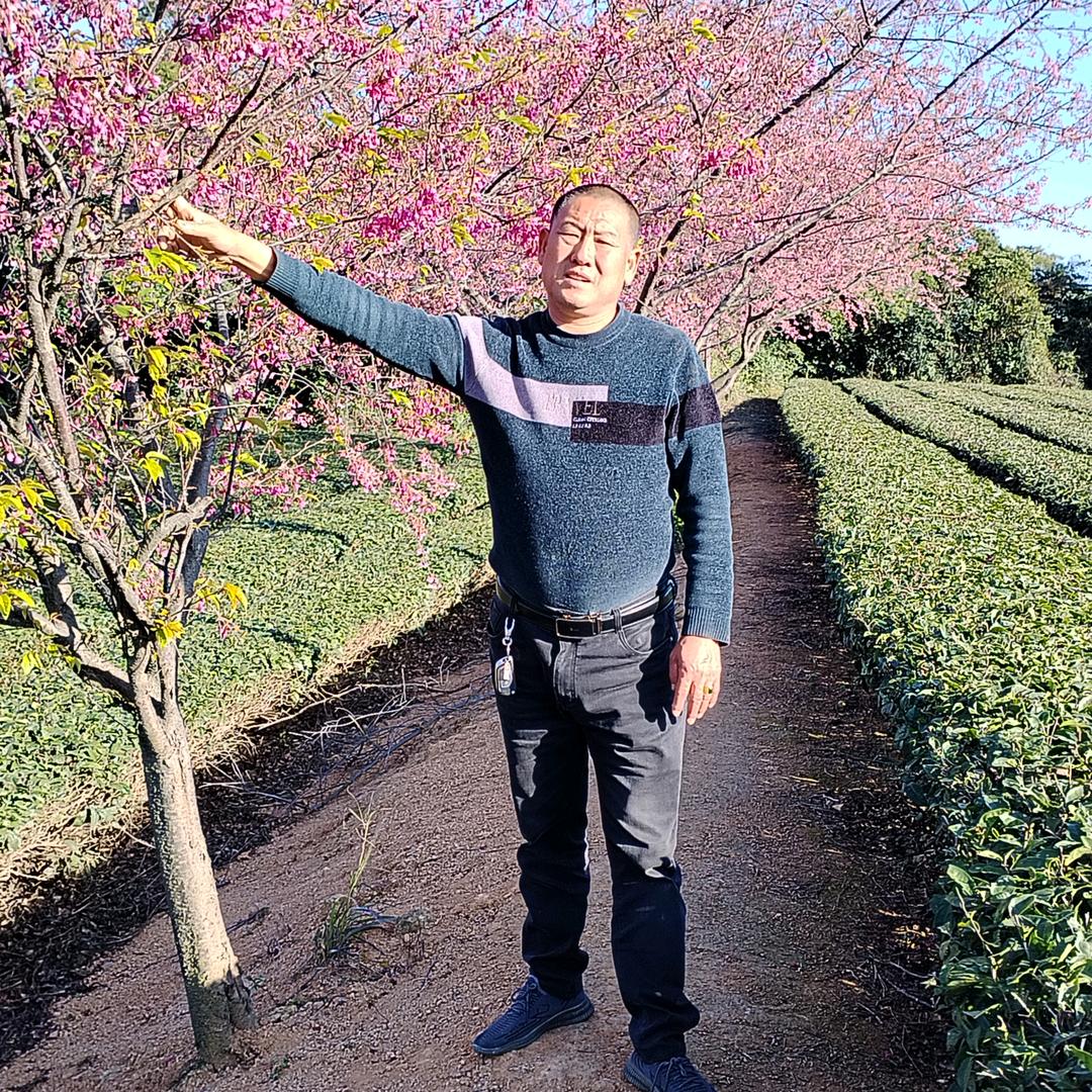 俞家小七