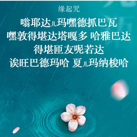 🌈🌈德吉卓玛YuanAi✍️