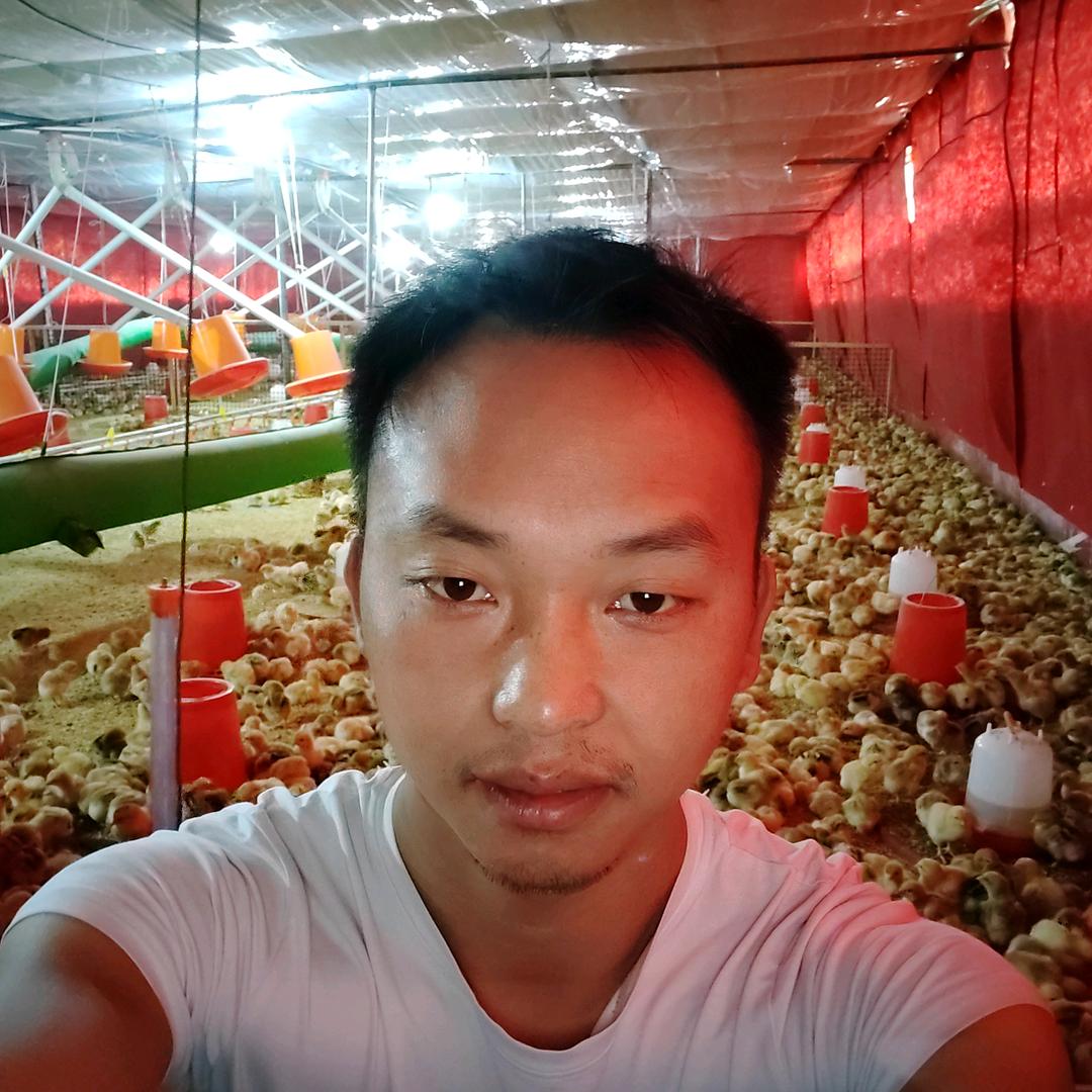 鸡爷