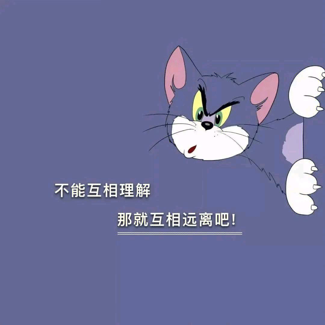 小朱骑不快