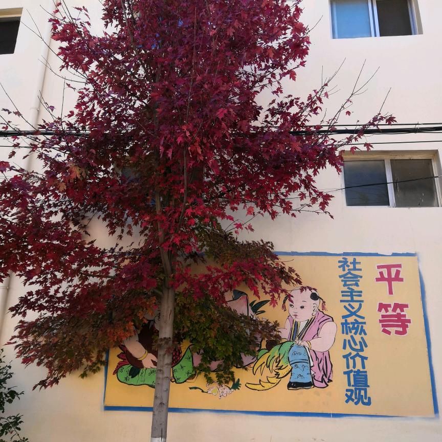 陈端阁