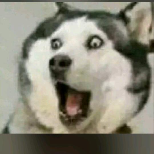 惠兰