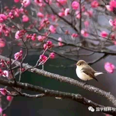 生活有糖