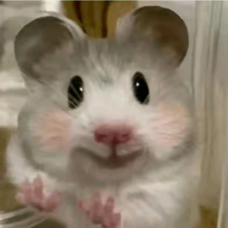 可怜鼠鼠