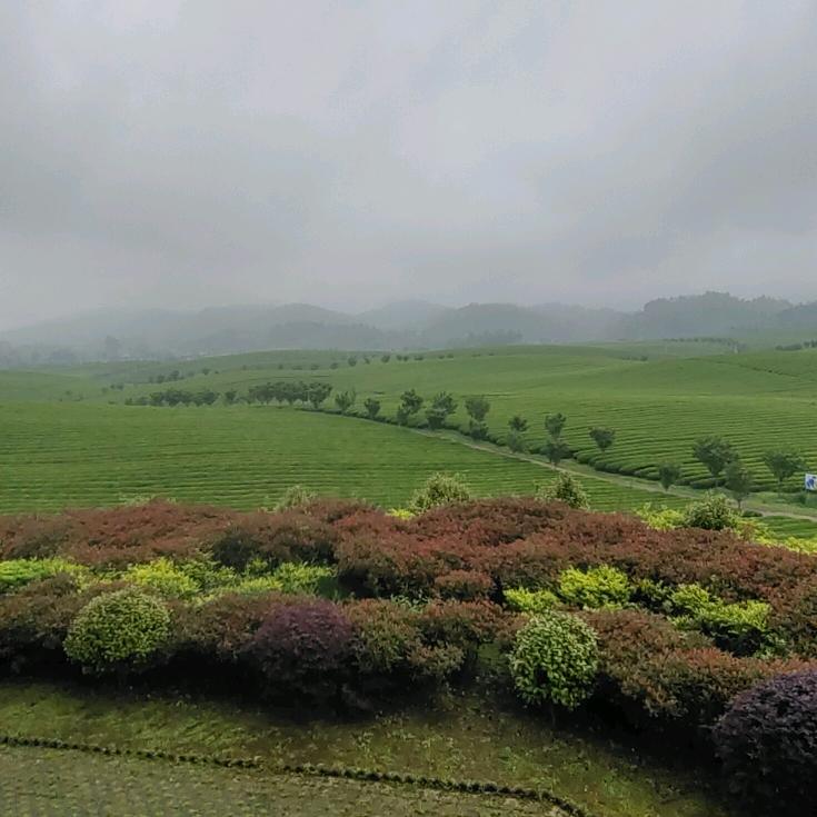 田园风光