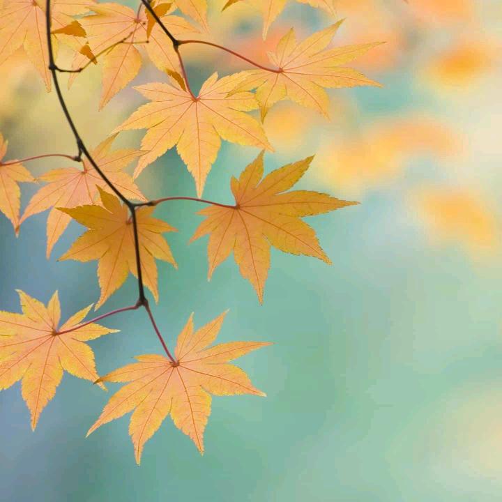 『芐①秒,等待』