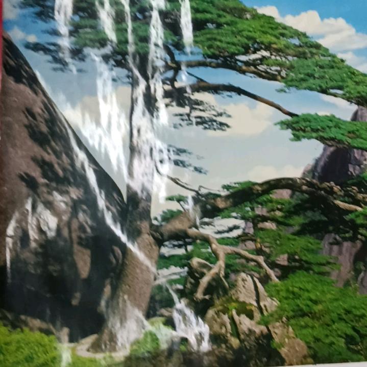 红哥