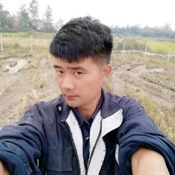 皖西小王